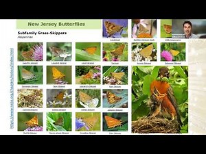 Homesteading Academy: Native Plants for Every Garden