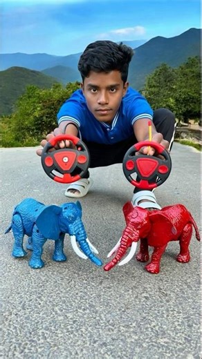 Rc 2 Ta Remote Control Elephant Testing and Unboxing 😳