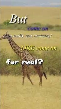 Bring back Kai bro. | #squidthehappy on #twitch