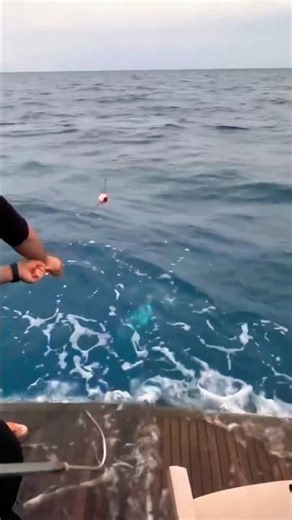 🎣 Epic Strike in the Middle of the Sea!
