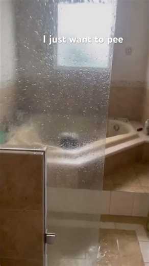 Just wanted to go toilet