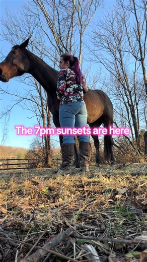 Embrace the Joy of Spring with Horses