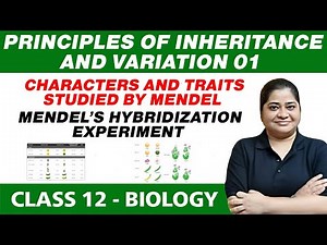 Principles of Inheritance & Variation 01 : Characters & Traits Studied by Mendel & Hybridization Exp