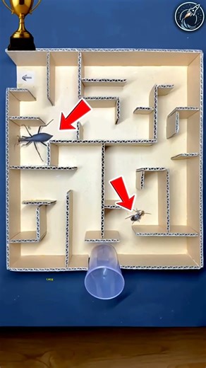 This man wanted to find out who is fast | But the result is unexpected 😱🫡 #respect #shorts #ytshorts