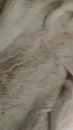 🧡🎃BUMPYYYYY🎃🖤 (@darealbumpy)’s videos with original sound - 🧡🎃BUMPYYYYY🎃🖤