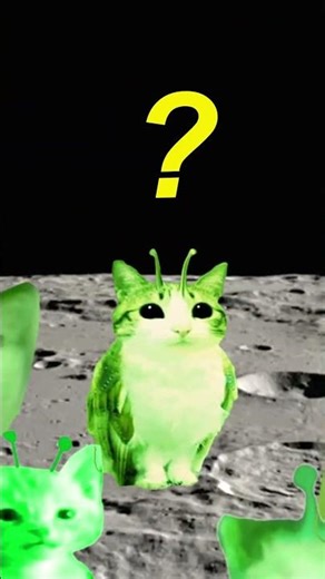 MatheCord: a math-focused Discord server