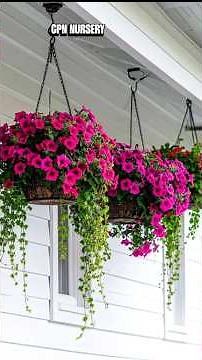 Plant🌱 Hanging Basket 🧺 Idea's 💚 #gardeninghacks #hangingplants