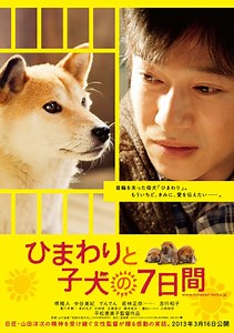 Seven Days of Himawari and Her Puppies Movie (2013), Watch Movie Online on TVOnic