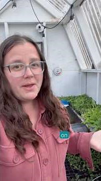 Tips for using an unheated greenhouse #ihavethisthingwithplants