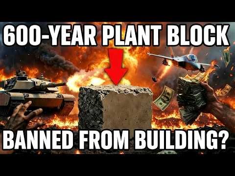 600-Year Concrete From a Living Plant — Why U.S. Building Codes Still Block It Today