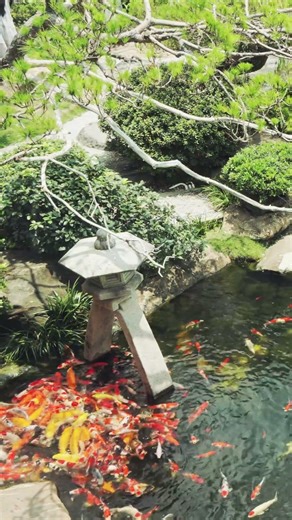 Inside the Most Serene Backyard Retreat #gardendesign #japaneseculture #oasis