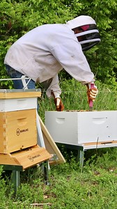 52K views · 440 reactions | When’s the BEST time to inspect your hive? Spoiler: It’s not early morning or late at night... Watch to find out the sweet spot for hive inspections!  #beekeeping #BeekeepingTips #beekeepinggirl #hiveinspection #hiveinspectiontips | Mann Lake Bee & Ag Supply | Facebook