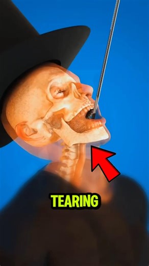 If Sword Swallowing Was Actually Real…