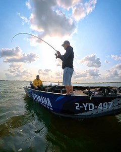 LIVE AANBEET🔥 Kijk die curve in die Gamakatsu LL Master bij het aanslaan! | SPRO Sports Professionals