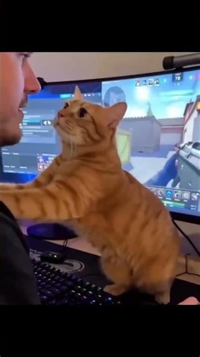 Look at me, am I not as important as computer games👿👿👿