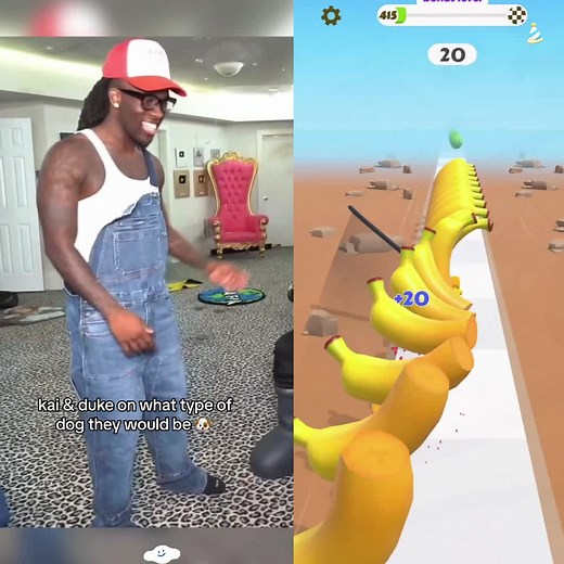 kail would be an annoying Shih Tzu 💀 #kaicenat #dukedennis #kaimafia #amp #fyp