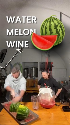 Watermelon Wine - Vin de Pastèque fait maison ! Vidéo complète à venir #watermelon #homemade #wine
