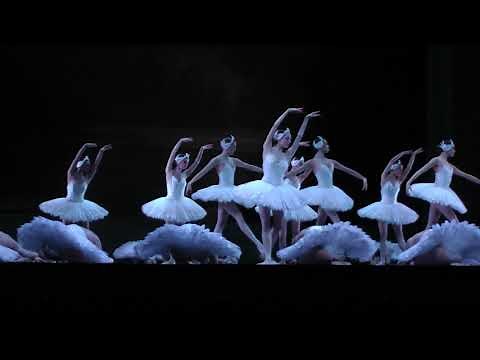 Swans Entrance (Act IV) - Swan Lake/Le Lac des cygnes - Choreography : Rudolf Noureev