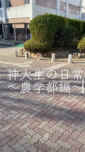 神戸大学KooBee on Instagram: "【神戸大学KooBee 受験生応援企画】 農学部編✨ 通学方法や授業内容など農学部の1日のキャンパスライフの様子をお届けします✌️ 神大の雰囲気をつかむ参考にしてください！#神戸大学 #神大 #大学受験 #神大志望 #koobee"