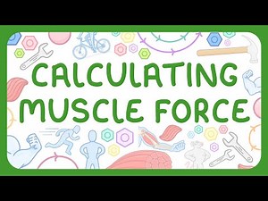 KS3 Biology - Calculating Muscle Force - What Moments Are | How to Calculate Moments & Muscle Force