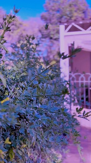 3.2K views · 249 reactions | We’re Happy To Announce Another Song on JR Player’s Album (10 Year Plan). . This Song is Titled: Family mp3 (Feat. Sounds lucid & General 﫶﫶. Please Share  #fyp #10yearplan #Playersonplay | JR Player | Facebook