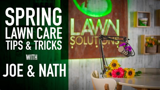 10K views · 19 reactions | It's officially spring! It won't be too long before the days will start to get longer, the sunshine a little warmer and before you know it the lawn and garden will be growing again. But what if it's looking a little average after winter? Don't stress because Joe and Nath share some of their own personal tips and tricks that will help you get your lawn looking great in no time. | Lawn Solutions Australia | Facebook