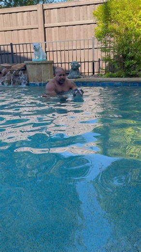 Every year, we teach our bulldogs to swim short distances without a life jacket and show them where the pool exit is. They love the water but respect the pool rules – no swimming without a hooman. #reelsfbシ #bulldogdivas #frenchbulldog #summer2024 #frenchie #summertime #bulldoglovers #swimminglessons #poolsafety #poolseason #reelsvideo #facebookpost #facebookreel | Bulldog Divas