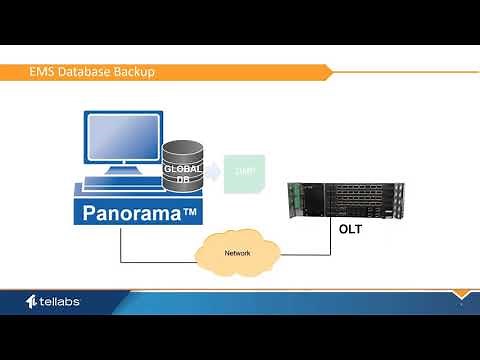 Using the EMS Scheduler in Panorama