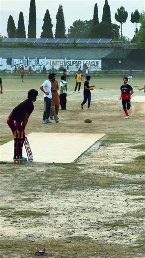 Understanding Bat Sounds in Cricket
