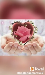 Flores & Gifs on Reels