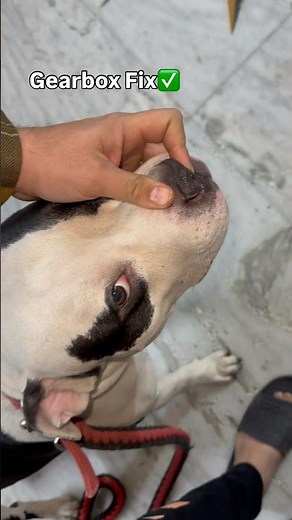 Gabbar👺's Gearbox Fix Kardiya!!😂✅