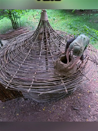 #forest #bushcraft #campinglife #shelter #wildlife | wildlife