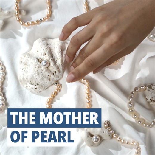 1.4K views · 200 reactions | Pearls are precious gemstones from the...