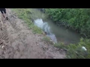 "Village Muddy Path | Rainy Season Trail | Rural Nature Vibes 🌿"