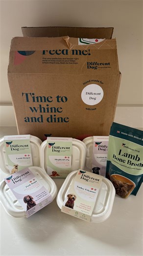 𝓖𝓪𝓮𝓪 | 𝓑𝓮𝓻𝓻𝔂𝓵𝓪𝓷𝓭𝓼 𝓗𝓸𝓾𝓼𝓮 on Instagram: "We’ve just made the switch to @differentdog after trialling so many brands for Harvey’s sensitive stomach and still having no luck. #differentdog meals are hand cooked and contain 100% British meat and fish, plus they’re grain free which is a huge bonus for sensitive tummies! The team at @differentdog have given me a discount code to share with you all, so if you have a fussy eater and want to offer the best, high quality ingredients for