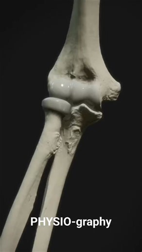 442K views · 2.7K reactions | Elbow Joint Anatomy | PHYSIO-graphy | Facebook