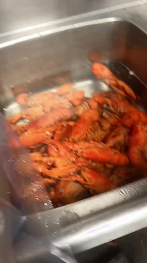 Delicious Baked Langostas Recipe | Easy Step-by-Step Guide