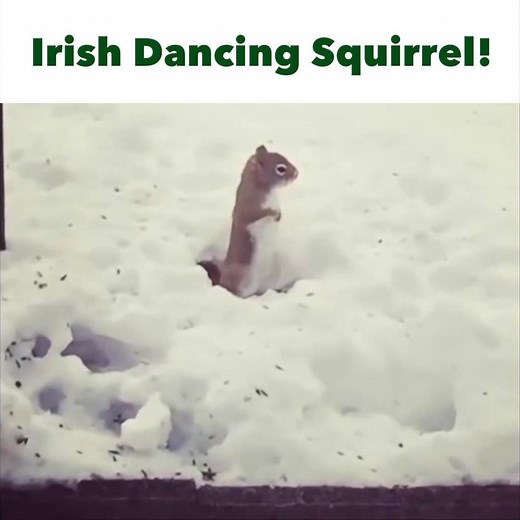 Great footwork! | The Irish Post