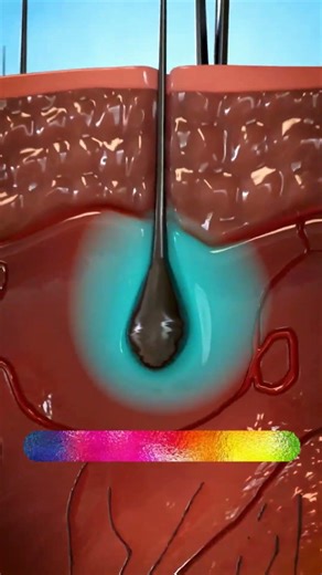 #vikramsarkar(Credit: @Zack D. Films)