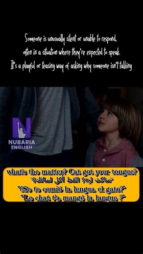 10K views · 124 reactions | The phrase "What's the matter? Cat got...