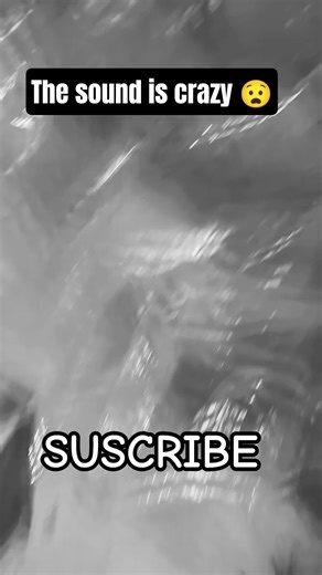 this sound is crazy 😧😧🤣 #shorts #shortsfeed #short