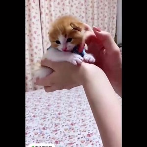 1.6M views · 182K reactions | Haha mangosteen  | Beautiful photos | Facebook