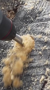 Building a Fairy Cottage in a Tree Stump #fairy #building #fun | Haxman