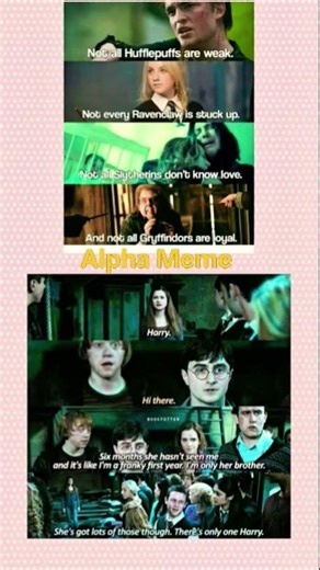 Hilarious Harry Potter Meme Proving Not All Hogwarts Houses Fit the Stereotypes 😂 #harrypotter #meme