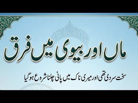 The Emotional Difference Between Mother and Wife | Heart Touching Story | Must Watch