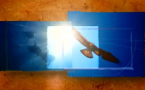 Animals Behaving Badly