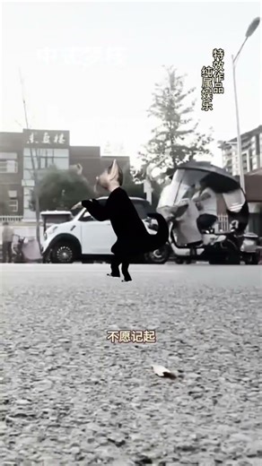 Four Fields Collection Special Effects