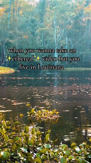 🐊 ya know. #louisiana #bayou #outdoors #lol #louisianajiggin #fyp #wildlife