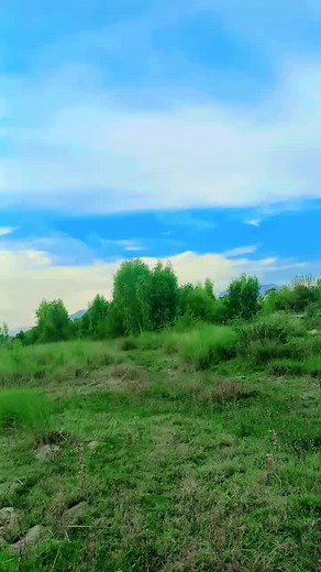 @Ayesha Waqas #ayesha_niazi