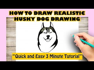 Realistic Husky Dog Drawing Step by Step